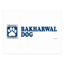 Bakharwal Dog Blue Postcard