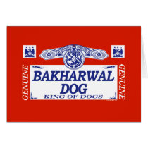 Bakharwal Dog cards