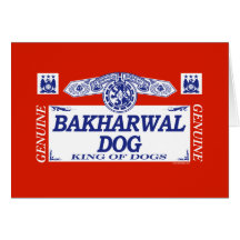 Bakharwal Dog Greeting Card