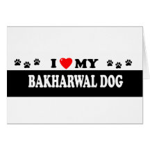 BAKHARWAL DOG GREETING CARD