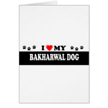 BAKHARWAL DOG GREETING CARD