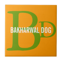 Bakharwal Dog Monogram Design Tile