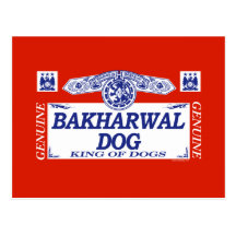 Bakharwal Dog Post Cards