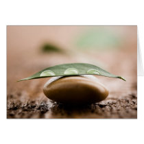Balance folded card