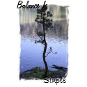 Balance is Simple print