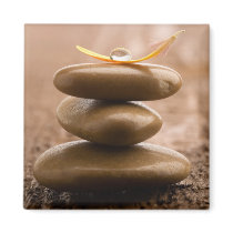 Balance magnet