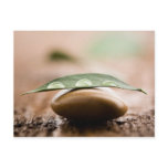 Balance postcard