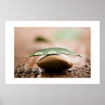 Balance poster/canvas