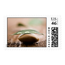 Balance stamp