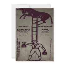 Balancing a Living Donkey ~ Invitations