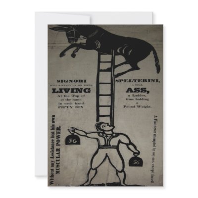 Balancing a Living Donkey ~ Invitations by galleriaofart