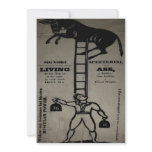 Balancing a Living Donkey ~ Invitations