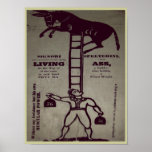 Balancing a Living Donkey ~ Poster