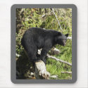 "Balancing Act" Black Bear gifts mousepads by HANDPRINTS "Balancing Act" Black Bear gifts mousepads