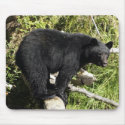"Balancing Act" Black Bear Mousepad by mousepadgallery "Balancing Act" Black Bear Mousepad