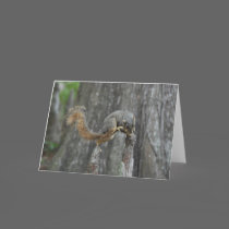 Balancing Act Greeting Card cards