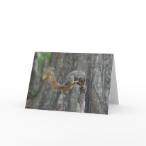 Balancing Act Greeting Card