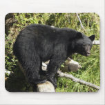 "Balancing Act" Mouse Pad