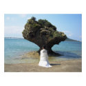 Balancing Act Photo posters