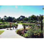 Balboa Park Roses Garden Green Photo Sculptures