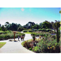 Balboa Park Roses Garden Green photo sculptures by lifesphere Balboa Park Roses Garden Green photo sculptures