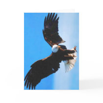 Bald American Eagle Card