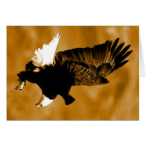 Bald American Eagle Greeting Card