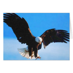 Bald American Eagle Card