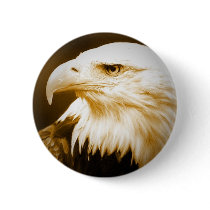 Bald American Eagle Eye Button