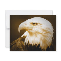 Bald American Eagle Eye invitations