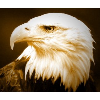 Bald American Eagle Eye mousepad