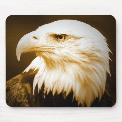 Bald American Eagle Eye Mousepads by made_in_atlantis