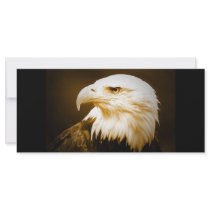 Bald American Eagle Eye Custom Rack Card