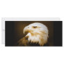Bald American Eagle Eye Custom Rack Card