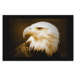 Bald American Eagle Eye Customized Stationery