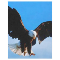 Bald American Eagle flyers