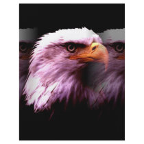 Bald American Eagle flyers by made_in_atlantis Bald American Eagle flyers