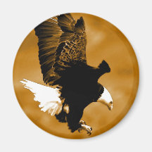 Bald American Eagle Fridge Magnet