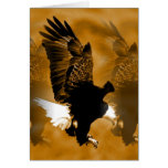 Bald American Eagle in Flight Card