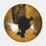 Bald American Eagle in Flight Refrigerator Magnet