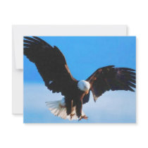 Bald American Eagle Custom Announcements