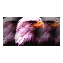 Bald American Eagle Photo Card