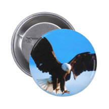 Bald American Eagle Pinback Button