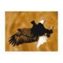 Bald American Eagle Postcard