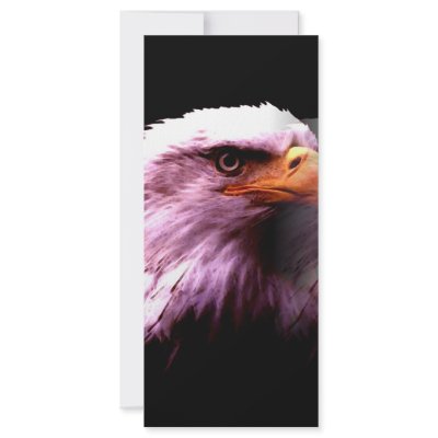 Bald American Eagle Rack Card by made_in_atlantis