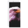 Bald American Eagle Rack Card