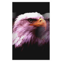 Bald American Eagle stationery by made_in_atlantis Bald American Eagle stationery