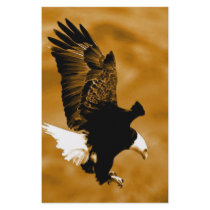 Bald American Eagle stationery by made_in_atlantis Bald American Eagle stationery