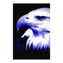 Bald American Eagle Stationery Paper