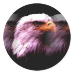 Bald American Eagle Sticker
